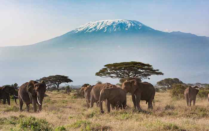 The Beginner's Guide to Climbing Kilimanjaro